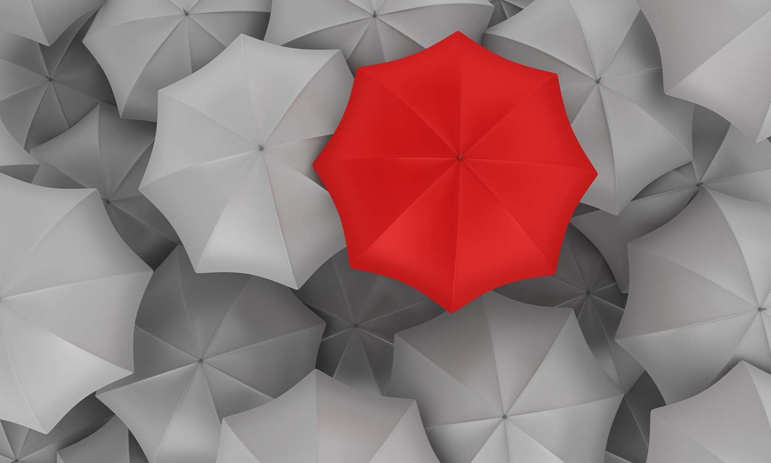 Understand Reinsurance